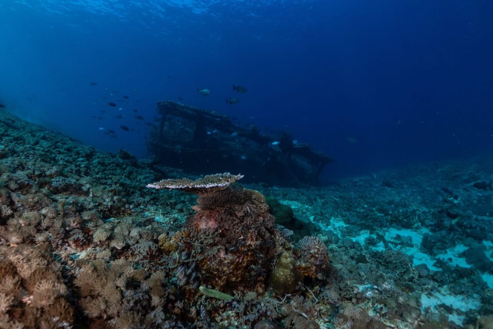 Shipwreck Snorkeling Journey
